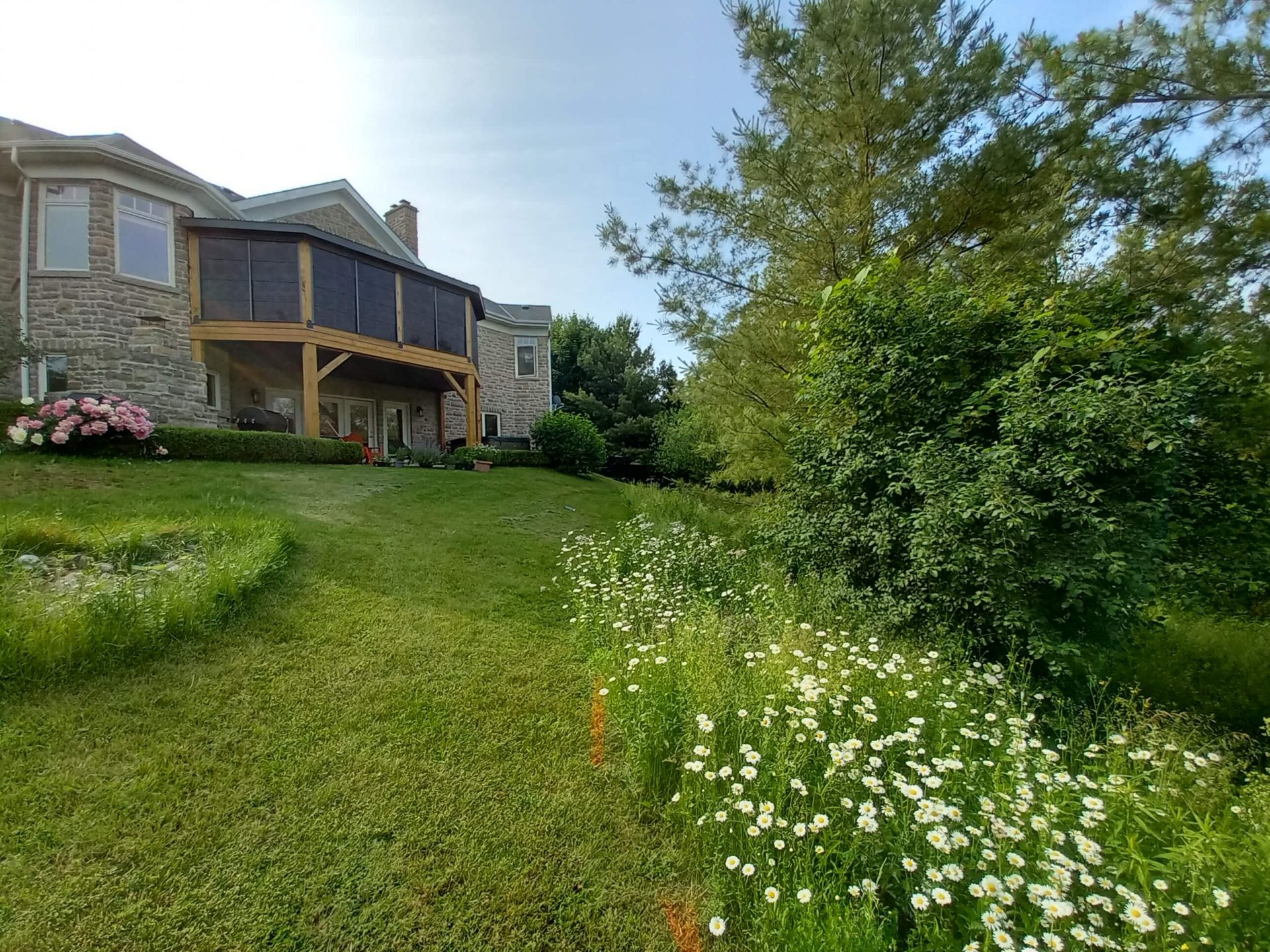 Rear of the house overlooking a sloped lawn and wildflower edge before the backyard was transformed with water features and patio spaces