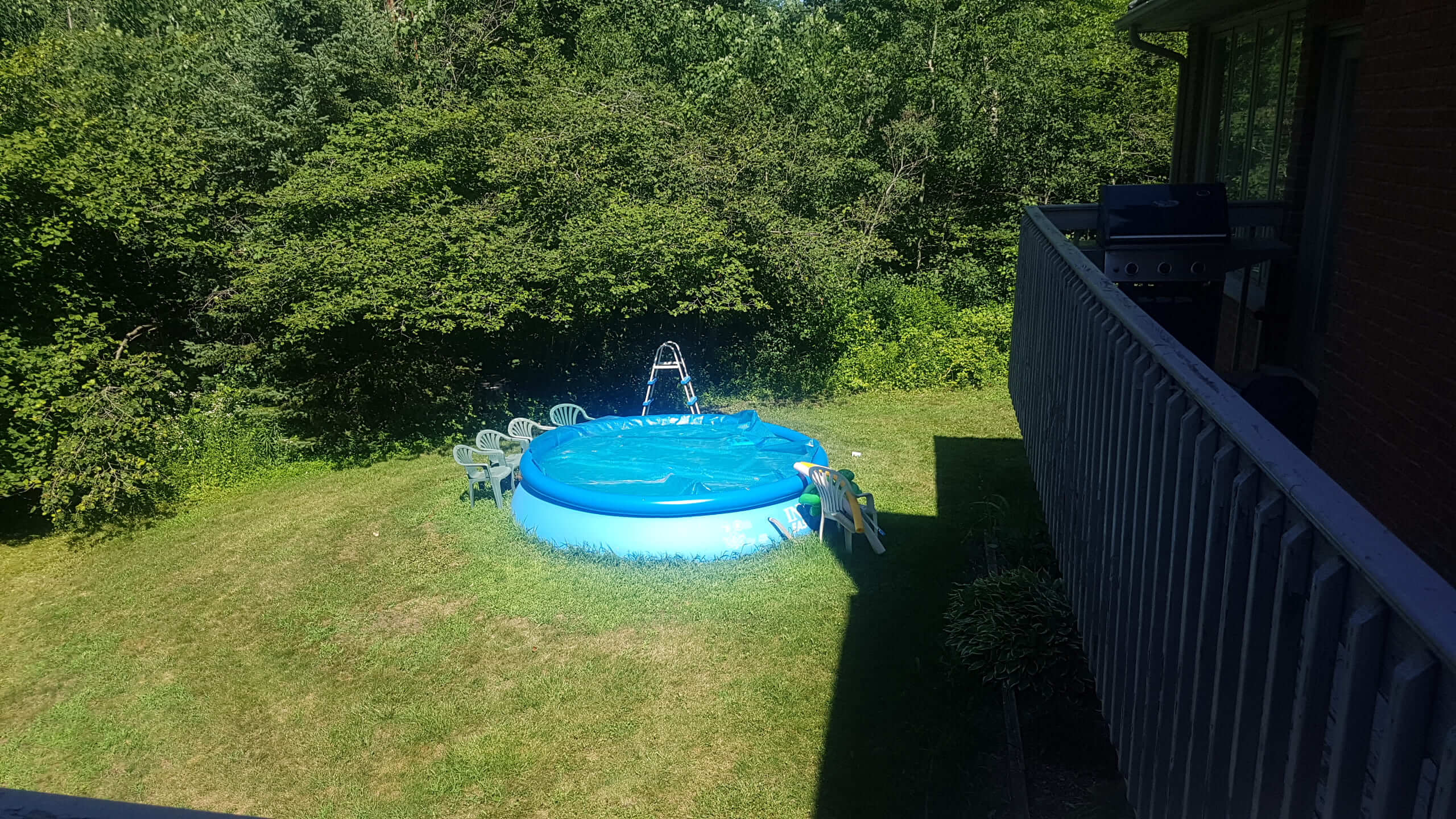 Backyard lawn with an above-ground pool, plastic chairs, and a raised deck beside a wooded property